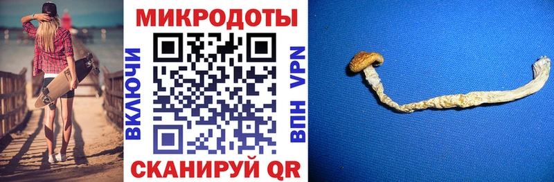 сайты даркнета телеграм  Саранск  Галлюциногенные грибы GOLDEN TEACHER  гидра ТОР 